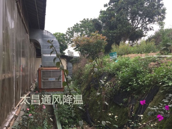 餐廳太熱？環(huán)?？照{為你送清風